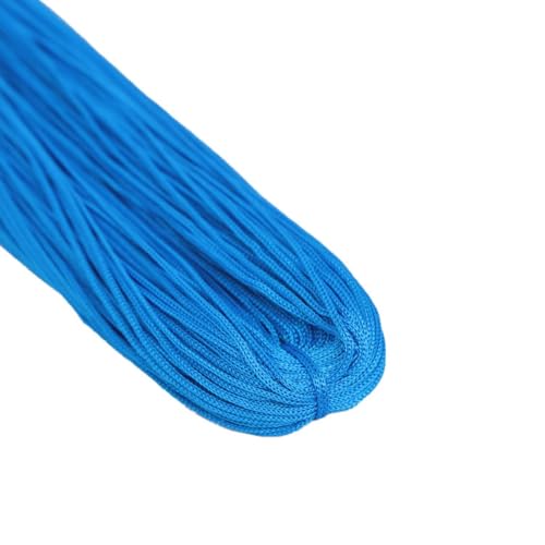 Polypropylen Band Garn 100G Makramee Schnur 2mm häkeln Polyester Garn für Häkeltasche DIY Handwerk Wandbehänge Teppich 2PCS col-35 Polypropylen Band Garn 100G Makramee Schnur 2mm häkeln Polyester Garn für Häkeltasche DIY Handwerk Wandbehänge Teppich 2PCS col-35 von WOLTHID