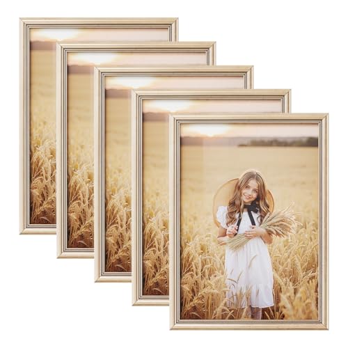 WOLTU Artos BRU9894gd-5 Bilderrahmen, 21 x 29,7 cm, Rahmen aus Holz und Glas, Dekoration, Haus, Gold, 5 Stück WOLTU Artos BRU9894gd-5 Bilderrahmen, 21 x 29,7 cm, Rahmen aus Holz und Glas, Dekoration, Haus, Gold, 5 Stück von WOLTU