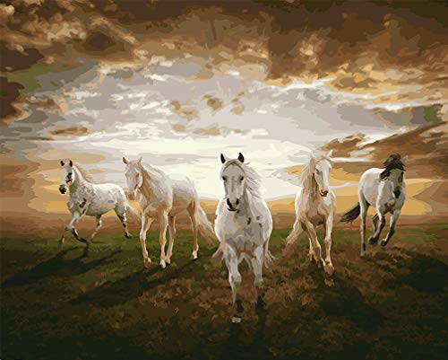 WONZOM Malen nach Zahlen Kits Acryl DIY Ölgemälde für Kinder und Erwachsene Anfänger Tiere Leinwand (Fünf Pferde, 16x20 Zoll, Ohne Rahmen) von WONZOM