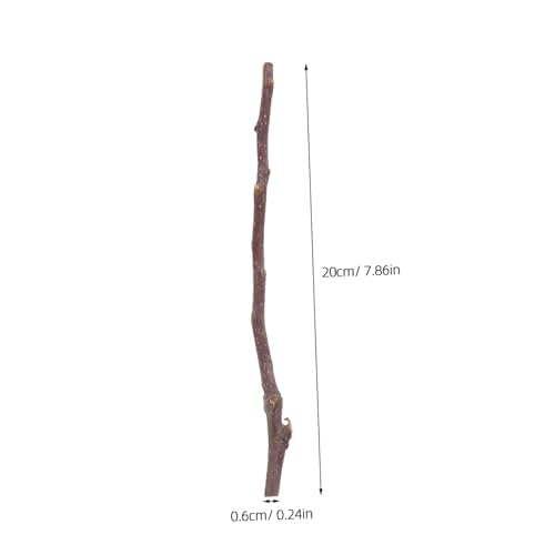 WOONEKY 50 Stück Teiliges Natürliche Birkenholzstäbchen zum Basteln ca Lange Dünne Zweige für DIY Handwerk Schulprojekte Foto Requisiten und Kreative Holzdekorationen WOONEKY 50 Stück Teiliges Natürliche Birkenholzstäbchen zum Basteln ca Lange Dünne Zweige für DIY Handwerk Schulprojekte Foto Requisiten und Kreative Holzdekorationen von WOONEKY