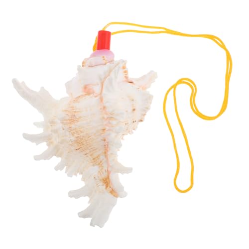 WOONEKY Dekorative Muschelpfeife Conch Form Handgemachte Große Meeresmuschel mit Melodischem für Stimmungsvolle Atmosphären und Stilvolle Wohnaccessoires WOONEKY Dekorative Muschelpfeife Conch Form Handgemachte Große Meeresmuschel mit Melodischem für Stimmungsvolle Atmosphären und Stilvolle Wohnaccessoires von WOONEKY