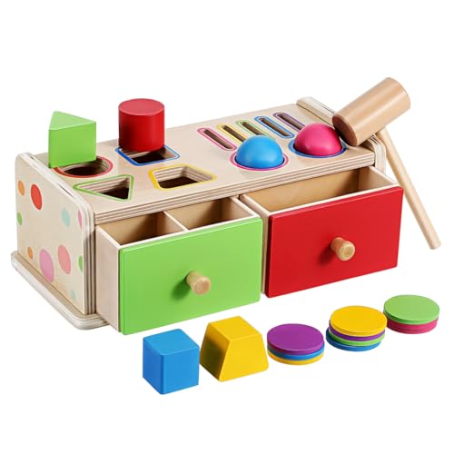 WOONEKY Holz Farb und Form Sortierspiel Montessori Lernspielzeug Geometrische Formen Sortierbox für Kleinkinder Farben und Formen Erkennung Feinmotorik Kognitiver Entwicklung von WOONEKY