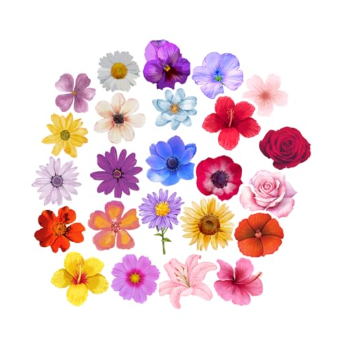 Blumen Sticker Set, 24 Stück, bunte Blumen Aesthetic- Wasserfeste Vinyl Aufkleber - Aufkleber für Autos, LKWs, Vans, SUVs, Wände, Fenster, Laptops und Notizbücher von WORKIRAN