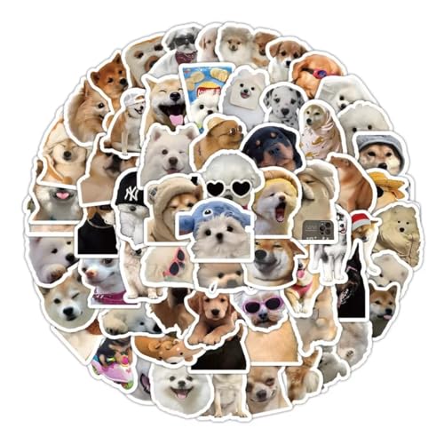 Lustige Hund Aufkleber Set, 100 Stück, memes - Wasserfeste Vinyl Aufkleber - Aufkleber für Autos, LKWs, Vans, SUVs, Wände, Fenster, Laptops und Notizbücher von WORKIRAN