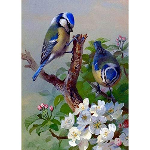 5D Diamond Painting Diamant Malerei Painting Bilder, Wowdecor Blau Kardinäle Vögel Blumen Full Set Groß DIY Diamant Gemälde Malen Nach Zahlen 5D Diamond Painting Diamant Malerei Painting Bilder, Wowdecor Blau Kardinäle Vögel Blumen Full Set Groß DIY Diamant Gemälde Malen Nach Zahlen von WOWDECOR