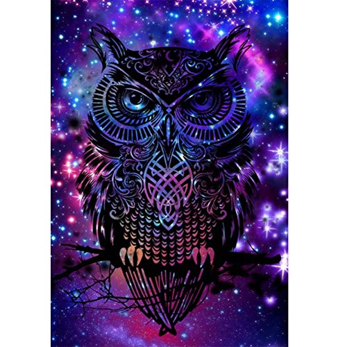 5D Diamond Painting Diamant Malerei Painting Bilder, Wowdecor Bunt Eule Adler Tiere Full Set Groß DIY Diamant Gemälde Malen Nach Zahlen 5D Diamond Painting Diamant Malerei Painting Bilder, Wowdecor Bunt Eule Adler Tiere Full Set Groß DIY Diamant Gemälde Malen Nach Zahlen von WOWDECOR