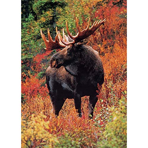 5D Diamond Painting Diamant Malerei Painting Bilder, Wowdecor Elch Hirsch Elk Tiere Blumen Full Set Groß DIY Diamant Gemälde Malen Nach Zahlen 5D Diamond Painting Diamant Malerei Painting Bilder, Wowdecor Elch Hirsch Elk Tiere Blumen Full Set Groß DIY Diamant Gemälde Malen Nach Zahlen von WOWDECOR