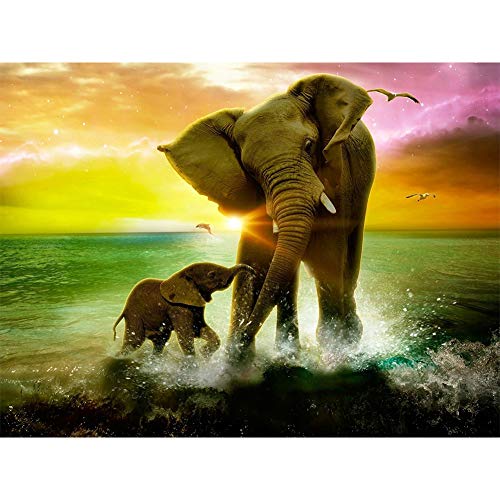 5D Diamond Painting Diamant Malerei Painting Bilder, Wowdecor Elefant Baby Tiere Meer Bunt Wolken Full Set Groß DIY Diamant Gemälde Malen Nach Zahlen 5D Diamond Painting Diamant Malerei Painting Bilder, Wowdecor Elefant Baby Tiere Meer Bunt Wolken Full Set Groß DIY Diamant Gemälde Malen Nach Zahlen von WOWDECOR