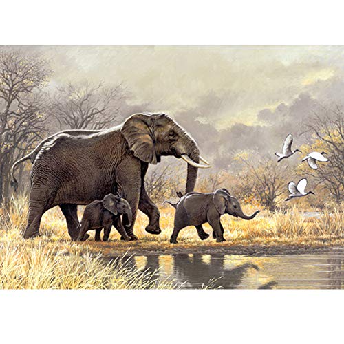 5D Diamond Painting Diamant Malerei Painting Bilder, Wowdecor Elefant Familie Dschungel Kran Tiere Full Set Groß DIY Diamant Gemälde Malen Nach Zahlen 5D Diamond Painting Diamant Malerei Painting Bilder, Wowdecor Elefant Familie Dschungel Kran Tiere Full Set Groß DIY Diamant Gemälde Malen Nach Zahlen von WOWDECOR
