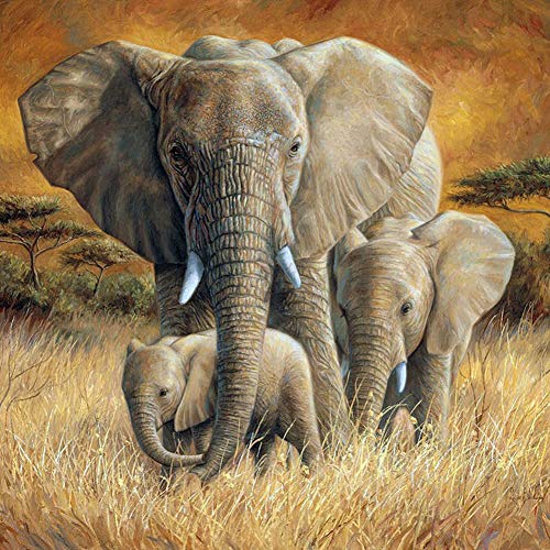 5D Diamond Painting Diamant Malerei Painting Bilder, Wowdecor Elefant Familie Tiere Wild Full Set Groß DIY Diamant Gemälde Malen Nach Zahlen 5D Diamond Painting Diamant Malerei Painting Bilder, Wowdecor Elefant Familie Tiere Wild Full Set Groß DIY Diamant Gemälde Malen Nach Zahlen von WOWDECOR