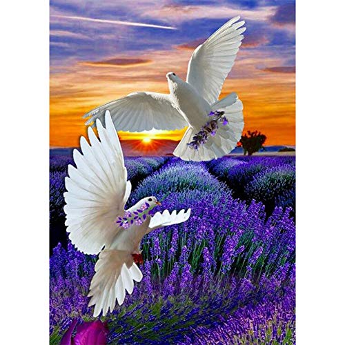 5D Diamond Painting Diamant Malerei Painting Bilder, Wowdecor Frieden Taube Vögel Lila Lavendel Sonnenuntergang Full Set Groß DIY Diamant Gemälde Malen Nach Zahlen 5D Diamond Painting Diamant Malerei Painting Bilder, Wowdecor Frieden Taube Vögel Lila Lavendel Sonnenuntergang Full Set Groß DIY Diamant Gemälde Malen Nach Zahlen von WOWDECOR