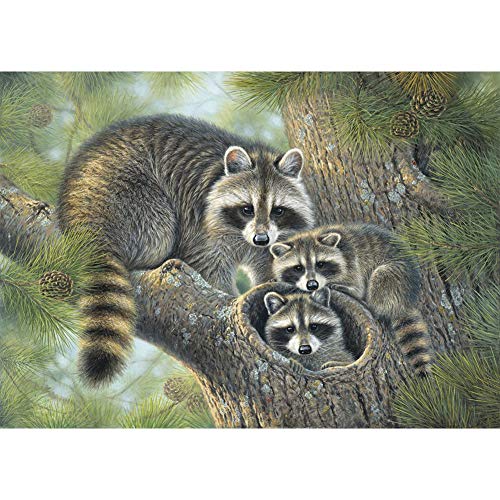 5D Diamond Painting Diamant Malerei Painting Bilder, Wowdecor Grau Waschbär Familie Baum Tiere Full Set Groß DIY Diamant Gemälde Malen Nach Zahlen 5D Diamond Painting Diamant Malerei Painting Bilder, Wowdecor Grau Waschbär Familie Baum Tiere Full Set Groß DIY Diamant Gemälde Malen Nach Zahlen von WOWDECOR