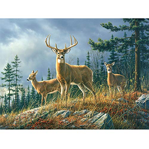 5D Diamond Painting Diamant Malerei Painting Bilder, Wowdecor Hirsch Elch Tiere Baum Dunkle Wolken Full Set Groß DIY Diamant Gemälde Malen Nach Zahlen 5D Diamond Painting Diamant Malerei Painting Bilder, Wowdecor Hirsch Elch Tiere Baum Dunkle Wolken Full Set Groß DIY Diamant Gemälde Malen Nach Zahlen von WOWDECOR