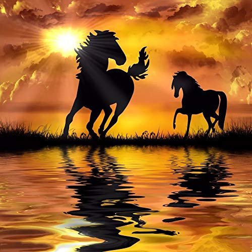 5D Diamond Painting Diamant Malerei Painting Bilder, Wowdecor Pentium Pferd Sonnenuntergang Flussufer Full Set Groß DIY Diamant Gemälde Malen Nach Zahlen 5D Diamond Painting Diamant Malerei Painting Bilder, Wowdecor Pentium Pferd Sonnenuntergang Flussufer Full Set Groß DIY Diamant Gemälde Malen Nach Zahlen von WOWDECOR