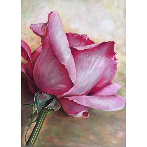 5D Diamond Painting Diamant Malerei Painting Bilder, Wowdecor Rosa Rose Blumen Full Set Groß DIY Diamant Gemälde Malen Nach Zahlen 5D Diamond Painting Diamant Malerei Painting Bilder, Wowdecor Rosa Rose Blumen Full Set Groß DIY Diamant Gemälde Malen Nach Zahlen von WOWDECOR
