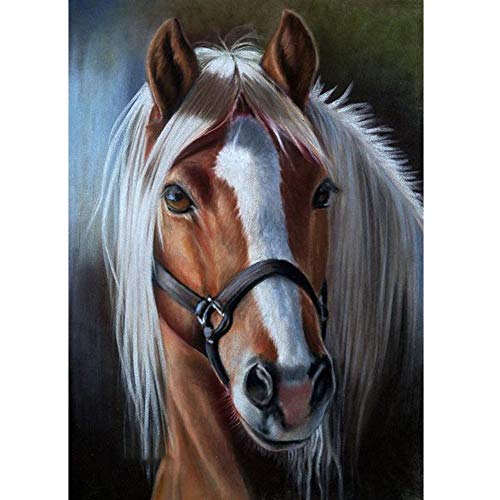 5D Diamond Painting Diamant Malerei Painting Bilder, Wowdecor Schön Pferd Tiere Full Set Groß DIY Diamant Gemälde Malen Nach Zahlen 5D Diamond Painting Diamant Malerei Painting Bilder, Wowdecor Schön Pferd Tiere Full Set Groß DIY Diamant Gemälde Malen Nach Zahlen von WOWDECOR