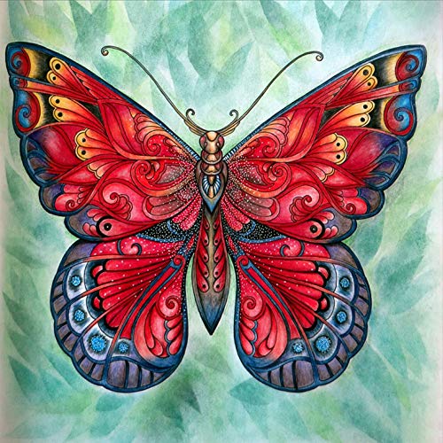 5D Diamond Painting Diamant Malerei Painting Bilder, Wowdecor Schön Rot Schmetterling Tiere Full Set Groß DIY Diamant Gemälde Malen Nach Zahlen 5D Diamond Painting Diamant Malerei Painting Bilder, Wowdecor Schön Rot Schmetterling Tiere Full Set Groß DIY Diamant Gemälde Malen Nach Zahlen von WOWDECOR