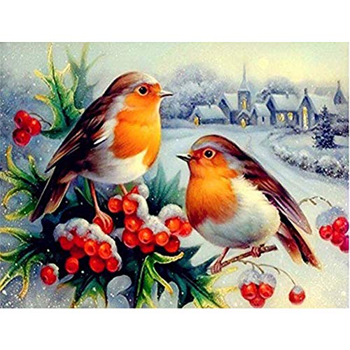 5D Diamond Painting Diamant Malerei Painting Bilder, Wowdecor Schön Vögel Schnee Landschaft Weihnachten Full Set Groß DIY Diamant Gemälde Malen Nach Zahlen 5D Diamond Painting Diamant Malerei Painting Bilder, Wowdecor Schön Vögel Schnee Landschaft Weihnachten Full Set Groß DIY Diamant Gemälde Malen Nach Zahlen von WOWDECOR