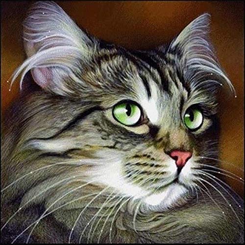 5D Diamond Painting Diamant Malerei Painting Bilder, Wowdecor Schöne Graue Katze Tiere Full Set Groß DIY Diamant Gemälde Malen Nach Zahlen 5D Diamond Painting Diamant Malerei Painting Bilder, Wowdecor Schöne Graue Katze Tiere Full Set Groß DIY Diamant Gemälde Malen Nach Zahlen von WOWDECOR
