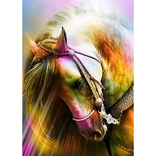 5D Diamond Painting Diamant Malerei Painting Bilder, Wowdecor Schönes Weiß Pferd Tiere Full Set Groß DIY Diamant Gemälde Malen Nach Zahlen 5D Diamond Painting Diamant Malerei Painting Bilder, Wowdecor Schönes Weiß Pferd Tiere Full Set Groß DIY Diamant Gemälde Malen Nach Zahlen von WOWDECOR