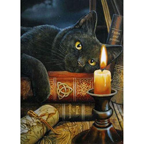 5D Diamond Painting Diamant Malerei Painting Bilder, Wowdecor Schwarz Katze Buch Kerze Licht Tiere Full Set Groß DIY Diamant Gemälde Malen Nach Zahlen 5D Diamond Painting Diamant Malerei Painting Bilder, Wowdecor Schwarz Katze Buch Kerze Licht Tiere Full Set Groß DIY Diamant Gemälde Malen Nach Zahlen von WOWDECOR