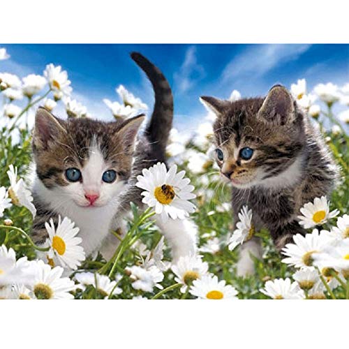 5D Diamond Painting Diamant Malerei Painting Bilder, Wowdecor Süß Katze Weiß Blumen Tiere Full Set Groß DIY Diamant Gemälde Malen Nach Zahlen 5D Diamond Painting Diamant Malerei Painting Bilder, Wowdecor Süß Katze Weiß Blumen Tiere Full Set Groß DIY Diamant Gemälde Malen Nach Zahlen von WOWDECOR