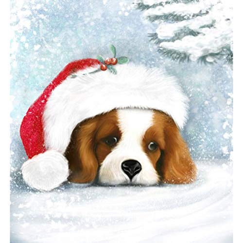 5D Diamond Painting Diamant Malerei Painting Bilder, Wowdecor Weihnachten Hut Hund Winter Schnee Full Set Groß DIY Diamant Gemälde Malen Nach Zahlen 5D Diamond Painting Diamant Malerei Painting Bilder, Wowdecor Weihnachten Hut Hund Winter Schnee Full Set Groß DIY Diamant Gemälde Malen Nach Zahlen von WOWDECOR
