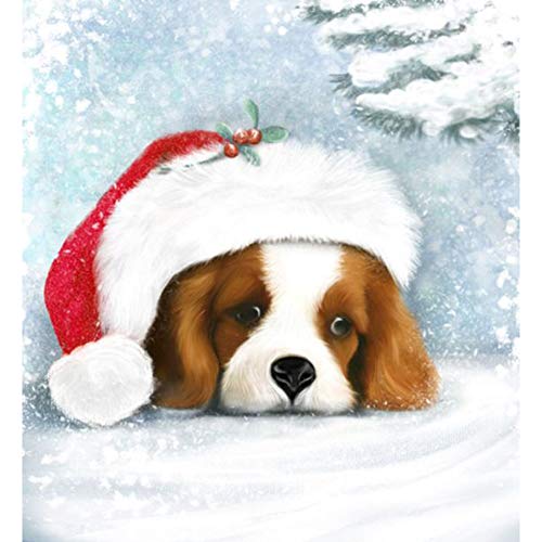 5D Diamond Painting Diamant Malerei Painting Bilder, Wowdecor Weihnachten Hut Hund Winter Schnee Full Set Groß DIY Diamant Gemälde Malen Nach Zahlen von WOWDECOR