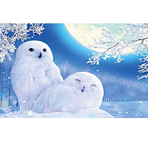 5D Diamond Painting Diamant Malerei Painting Bilder, Wowdecor Weiß Schnee Adler Mond Silber Baum Tiere Full Set Groß DIY Diamant Gemälde Malen Nach Zahlen 5D Diamond Painting Diamant Malerei Painting Bilder, Wowdecor Weiß Schnee Adler Mond Silber Baum Tiere Full Set Groß DIY Diamant Gemälde Malen Nach Zahlen von WOWDECOR