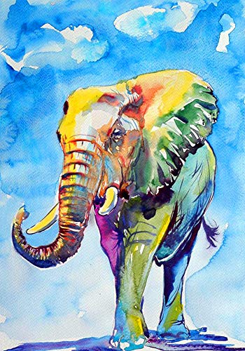 WOWDECOR DIY Malen nach Zahlen für Erwachsene Kinder Mädchen, Bunt Elefant Blauer Himmel 40x50cm Vorgedruckt Leinwand-Ölgemälde (ohne Rahmen) von WOWDECOR