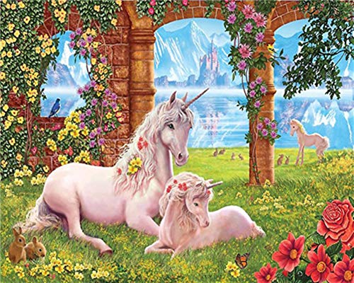 WOWDECOR DIY Malen nach Zahlen für Erwachsene Kinder Mädchen, Weiß Einhorn Bunt Blume 40x50cm Vorgedruckt Leinwand-Ölgemälde (ohne Rahmen) von WOWDECOR