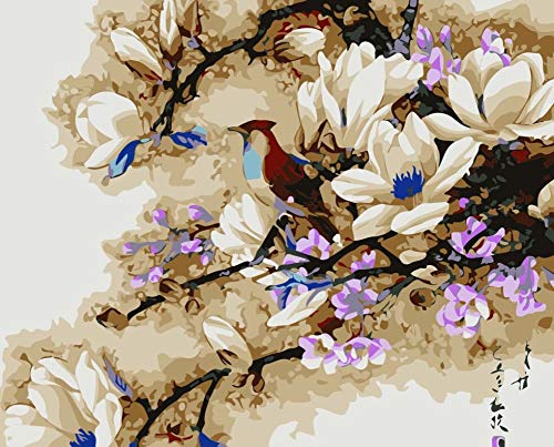 WOWDECOR Malen nach Zahlen Kits Geschenk für Erwachsene Kinder, DIY Ölgemälde Home Haus Dekor - Magnolie Blumen Vogel Chinesisch Stil 16 x 20 Zoll (X7056, Ohne Rahmen) von WOWDECOR