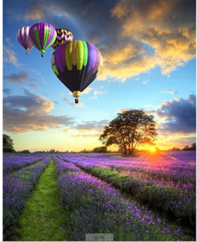 WOWDECOR Malen nach Zahlen Kits Geschenk für Erwachsene Kinder, DIY Ölgemälde Home Haus Dekor - Sonnenuntergang Lila Lavendel Blumen Heißluftballon 16 x 20 Zoll (Z47, Ohne Rahmen) von WOWDECOR