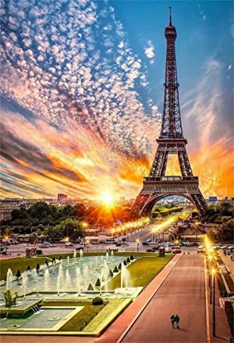 WOWDECOR Malen nach Zahlen Kits für Erwachsene Kinder, DIY Ölgemälde – Eiffelturm Stadt Landschaft Sonnenuntergang 40,6 x 50,8 cm (rahmenlos) von WOWDECOR