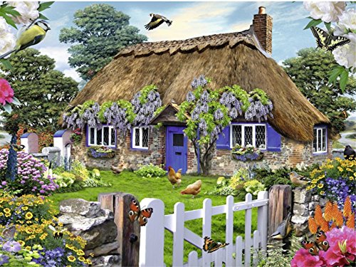 Wowdecor DIY Malen nach Zahlen Kits Geschenk für Erwachsene Kinder, Malen nach Zahlen Home Haus Dekor - Blumen Garten Adler Vögel Schmetterling Hahn Landschaft 40 x 50 cm ohne Rahmen von WOWDECOR