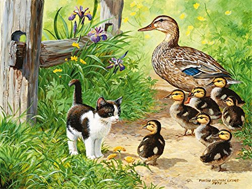 Wowdecor DIY Malen nach Zahlen Kits Geschenk für Erwachsene Kinder, Malen nach Zahlen Home Haus Dekor - Ente Kätzchen Blumen Landschaft 40 x 50 cm Ohne Rahmen Wowdecor DIY Malen nach Zahlen Kits Geschenk für Erwachsene Kinder, Malen nach Zahlen Home Haus Dekor - Ente Kätzchen Blumen Landschaft 40 x 50 cm Ohne Rahmen von WOWDECOR