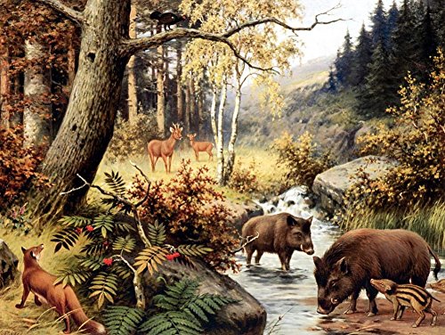 Wowdecor DIY Malen nach Zahlen Kits Geschenk für Erwachsene Kinder, Malen nach Zahlen Home Haus Dekor - Pig Hirsch Fuchs Wald Baum Fluss Landschaft 40 x 50 cm ohne Rahmen Wowdecor DIY Malen nach Zahlen Kits Geschenk für Erwachsene Kinder, Malen nach Zahlen Home Haus Dekor - Pig Hirsch Fuchs Wald Baum Fluss Landschaft 40 x 50 cm ohne Rahmen von WOWDECOR