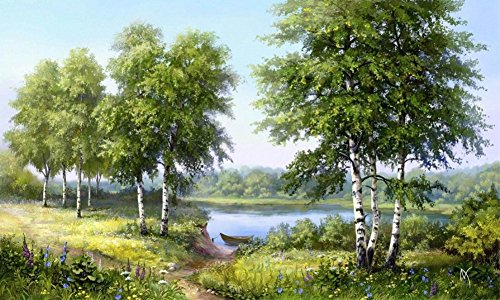 Wowdecor DIY Malen nach Zahlen Kits Geschenk für Erwachsene Kinder, Malen nach Zahlen Home Haus Dekor - Wald Grüne Bäume See Schiff Landschaft 40 x 50 cm Rahmen von WOWDECOR