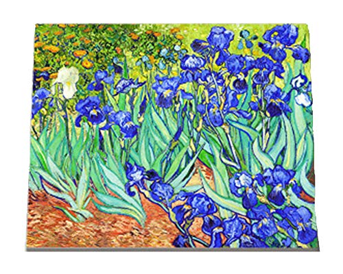 Wowdecor Malen nach Zahlen, Kits für Erwachsene und Kinder, Gemälde zum Selbstmalen mit Zahlen – Motiv: Van Gogh, Iris (Schwertlilien), Blumen, Leinwandbild neu geprägte Leinwand, Framed von WOWDECOR