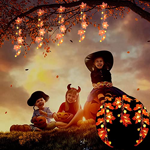 WOXIHUAN Herbst Lichterkette Ahornblätter Halloween Lichterkette Batterie für Außen Innen Batteriebetrieben Lichter LED Laterne Herbst Dekoration Thanksgiving Halloween Deko Garten Lichterketten WOXIHUAN Herbst Lichterkette Ahornblätter Halloween Lichterkette Batterie für Außen Innen Batteriebetrieben Lichter LED Laterne Herbst Dekoration Thanksgiving Halloween Deko Garten Lichterketten von WOXIHUAN