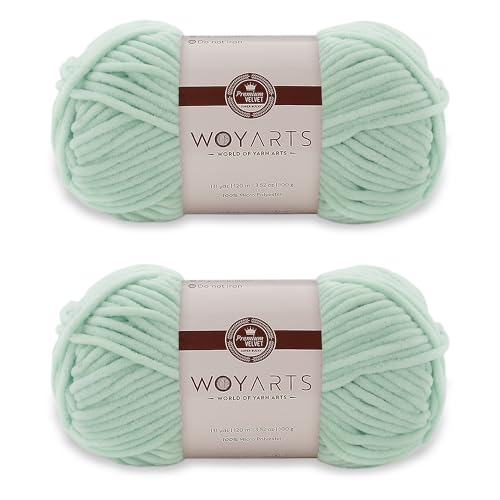 Woyarts Samtgarn – Super sperriges Chenille-Garn zum Häkeln und Stricken, 2er-Pack (2 x 100 g/2 x 120 m), butterweich, langlebig, kein Schuppen, perfekt für Babydecke, Amigurumi (A-Wassergrün, 2 von WOYARTS