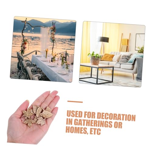 WRITWAA 200 Stück Natürliche Holzblätter zum Basteln Unvollendete Holzscheiben für DIY Herbstdekoration Wiederverwendbare Holzformen für Familienhandwerk und Herbstliche Partygestaltung WRITWAA 200 Stück Natürliche Holzblätter zum Basteln Unvollendete Holzscheiben für DIY Herbstdekoration Wiederverwendbare Holzformen für Familienhandwerk und Herbstliche Partygestaltung von WRITWAA