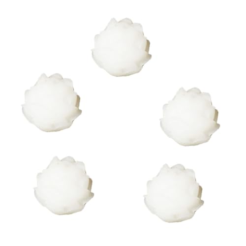 WRITWAA 5 Stück Teiliges DIY Bodhi Perlen Lotus Blüte Fünflagig Weiß Buddhistische Schmuckperlen zum Auffädeln für Armbänder und Dekorationen WRITWAA 5 Stück Teiliges DIY Bodhi Perlen Lotus Blüte Fünflagig Weiß Buddhistische Schmuckperlen zum Auffädeln für Armbänder und Dekorationen von WRITWAA