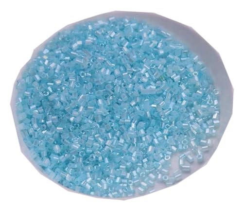 WTRYT Glasperlen 100g Kleine Perlen Lange Rocailles Rohrperlen Glas Signalhorn Perlen Röhrchen Perlen Gerade Röhrchen Perlen Tubes Perlen Glas Bugle Stiftperlen Abstandsperlen Für Ohrringe Armbänder WTRYT Glasperlen 100g Kleine Perlen Lange Rocailles Rohrperlen Glas Signalhorn Perlen Röhrchen Perlen Gerade Röhrchen Perlen Tubes Perlen Glas Bugle Stiftperlen Abstandsperlen Für Ohrringe Armbänder von WTRYT