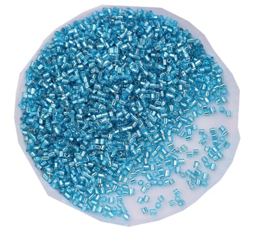 WTRYT Glasperlen 100g Kleine Perlen Lange Rocailles Rohrperlen Glas Signalhorn Perlen Röhrchen Perlen Gerade Röhrchen Perlen Tubes Perlen Glas Bugle Stiftperlen Abstandsperlen Für Ohrringe Armbänder WTRYT Glasperlen 100g Kleine Perlen Lange Rocailles Rohrperlen Glas Signalhorn Perlen Röhrchen Perlen Gerade Röhrchen Perlen Tubes Perlen Glas Bugle Stiftperlen Abstandsperlen Für Ohrringe Armbänder von WTRYT