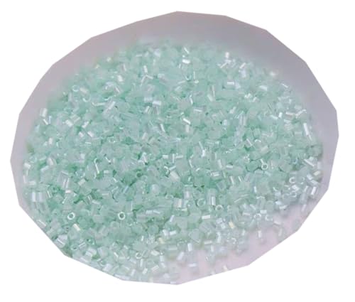 WTRYT Glasperlen 100g Kleine Perlen Lange Rocailles Rohrperlen Glas Signalhorn Perlen Röhrchen Perlen Gerade Röhrchen Perlen Tubes Perlen Glas Bugle Stiftperlen Abstandsperlen Für Ohrringe Armbänder WTRYT Glasperlen 100g Kleine Perlen Lange Rocailles Rohrperlen Glas Signalhorn Perlen Röhrchen Perlen Gerade Röhrchen Perlen Tubes Perlen Glas Bugle Stiftperlen Abstandsperlen Für Ohrringe Armbänder von WTRYT