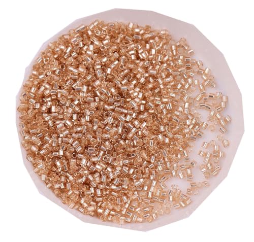 WTRYT Glasperlen 100g Kleine Perlen Lange Rocailles Rohrperlen Glas Signalhorn Perlen Röhrchen Perlen Gerade Röhrchen Perlen Tubes Perlen Glas Bugle Stiftperlen Abstandsperlen Für Ohrringe Armbänder WTRYT Glasperlen 100g Kleine Perlen Lange Rocailles Rohrperlen Glas Signalhorn Perlen Röhrchen Perlen Gerade Röhrchen Perlen Tubes Perlen Glas Bugle Stiftperlen Abstandsperlen Für Ohrringe Armbänder von WTRYT