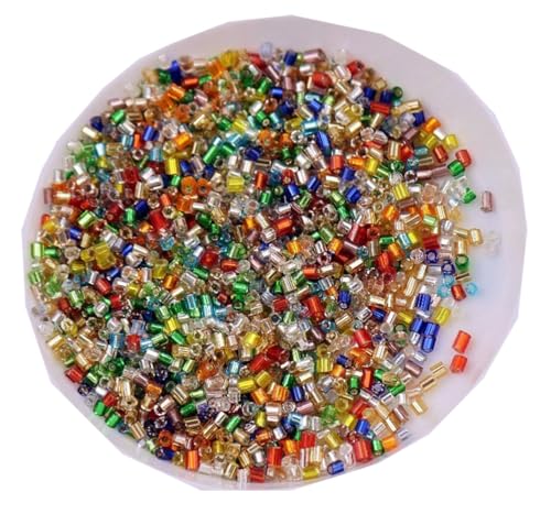 WTRYT Glasperlen 100g Kleine Perlen Lange Rocailles Rohrperlen Glas Signalhorn Perlen Röhrchen Perlen Gerade Röhrchen Perlen Tubes Perlen Glas Bugle Stiftperlen Abstandsperlen Für Ohrringe Armbänder WTRYT Glasperlen 100g Kleine Perlen Lange Rocailles Rohrperlen Glas Signalhorn Perlen Röhrchen Perlen Gerade Röhrchen Perlen Tubes Perlen Glas Bugle Stiftperlen Abstandsperlen Für Ohrringe Armbänder von WTRYT