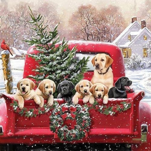 Kreuzstich-Set mit Weihnachtsbaumprägung – Kreuzstich-Set mit Hunde-Zählmuster für Anfänger und Erwachsene, Nadelspitze, Kreuzstichmuster, Maße, Stickerei-Set, Kunst und Handwerk Kreuzstich-Set mit Weihnachtsbaumprägung – Kreuzstich-Set mit Hunde-Zählmuster für Anfänger und Erwachsene, Nadelspitze, Kreuzstichmuster, Maße, Stickerei-Set, Kunst und Handwerk von WUSARPLY