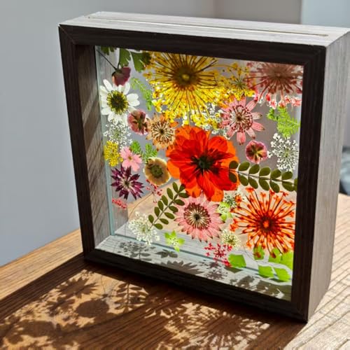 Gepresster Blumenrahmen – Doppelglasrahmen aus Holz mit echten Wildblumen, natürlicher Herbstblumenkunst-Bilderrahmen, Ständer, dekoratives schwimmendes Display für Zuhause, Wand, Tischdekoration Gepresster Blumenrahmen – Doppelglasrahmen aus Holz mit echten Wildblumen, natürlicher Herbstblumenkunst-Bilderrahmen, Ständer, dekoratives schwimmendes Display für Zuhause, Wand, Tischdekoration von WXQX